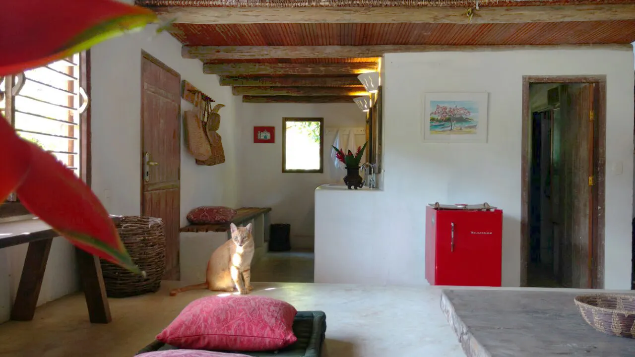 Casa da Árvore — imagem 2 de 7