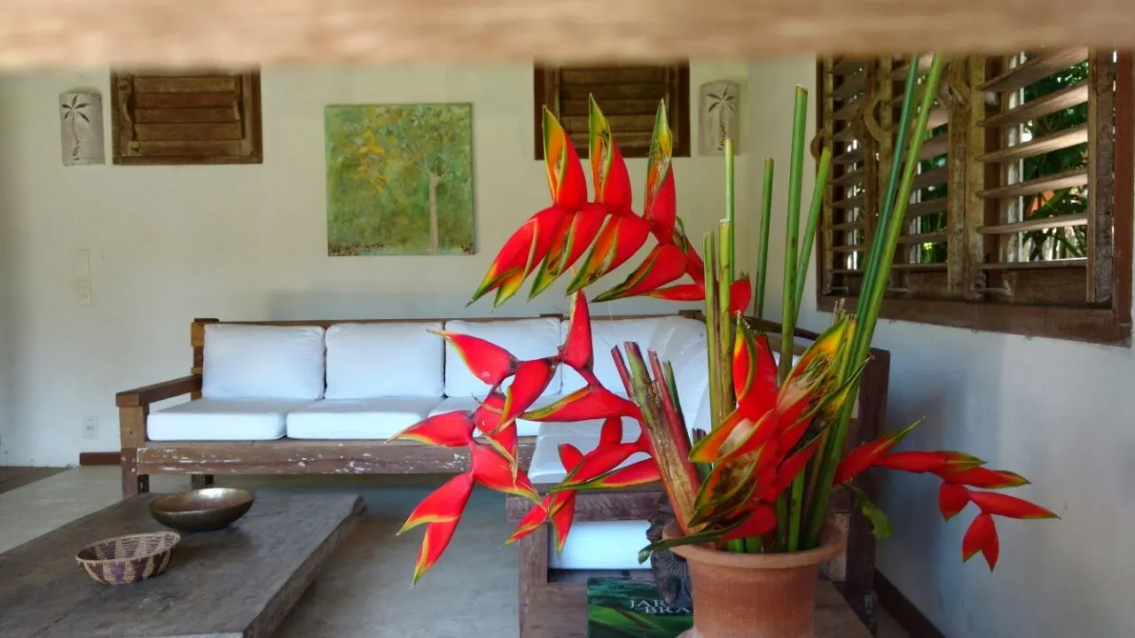 Casa da Árvore — imagem 5 de 7