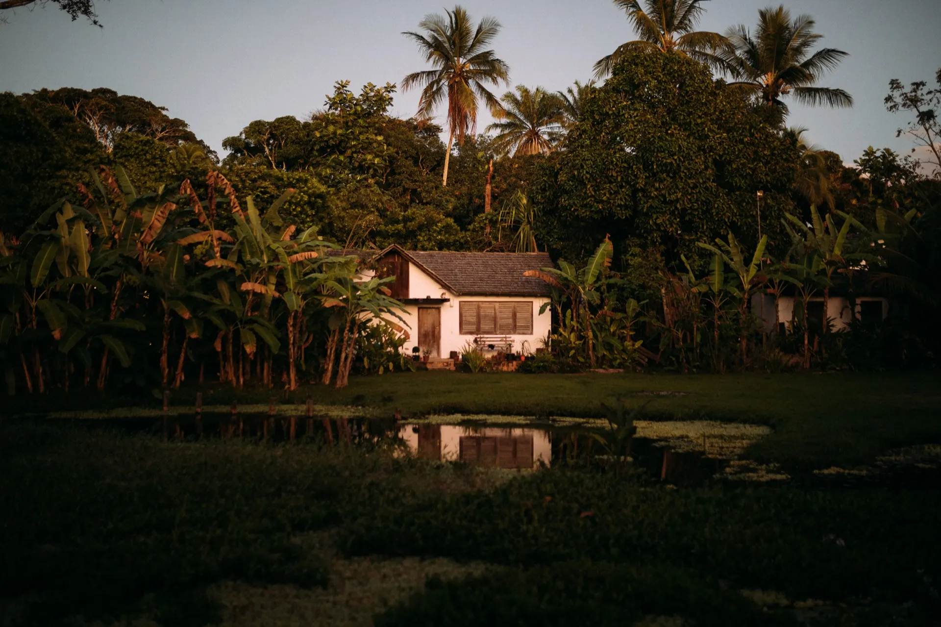 Casa da Árvore — imagem 7 de 7